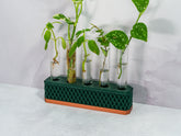 "Angled view of COPPER AND FOREST GREEN Propagation Station displaying various plant cuttings in water-filled tubes."